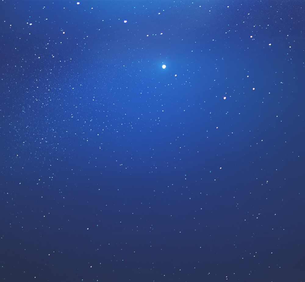 section_11_bg